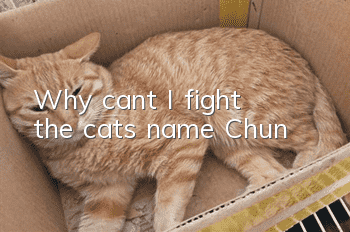 Why can’t I fight the cat’s name Chun?
