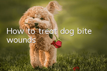 How to treat dog bite wounds