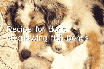 Recipe for dogs swallowing fish bones