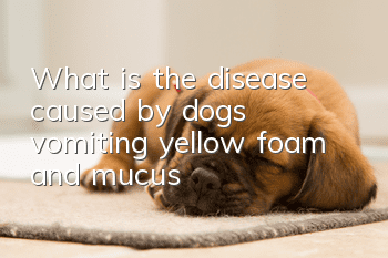 What is the disease caused by dogs vomiting yellow foam and mucus?
