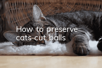 How to preserve cat’s cut balls