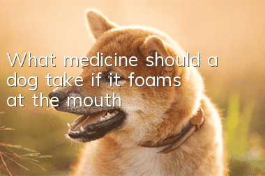 What medicine should a dog take if it foams at the mouth?