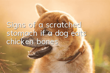 Signs of a scratched stomach if a dog eats chicken bones