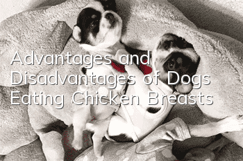 Advantages and Disadvantages of Dogs Eating Chicken Breasts