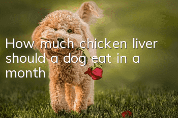 How much chicken liver should a dog eat in a month?