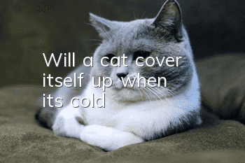 Will a cat cover itself up when it's cold?