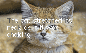 The cat stretched its neck as if it was choking.