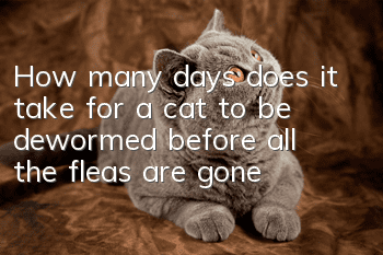 How many days does it take for a cat to be dewormed before all the fleas are gone?