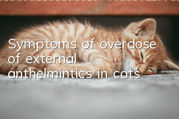 Symptoms of overdose of external anthelmintics in cats