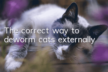 The correct way to deworm cats externally