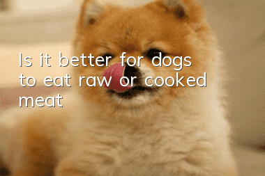 Is it better for dogs to eat raw or cooked meat?