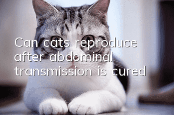 Can cats reproduce after abdominal transmission is cured?