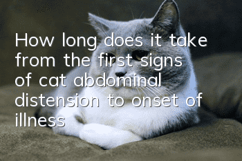 How long does it take from the first signs of cat abdominal distension to onset of illness?
