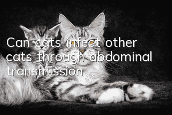 Can cats infect other cats through abdominal transmission?