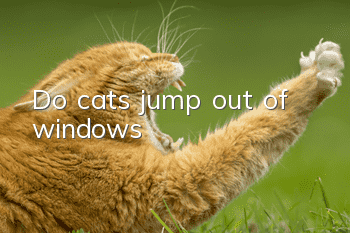 Do cats jump out of windows?