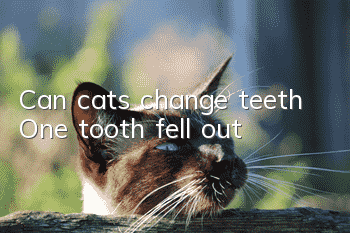 Can cats change teeth? One tooth fell out