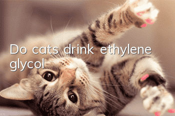 Do cats drink ethylene glycol?