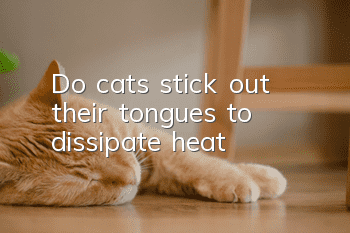 Do cats stick out their tongues to dissipate heat?