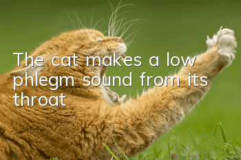 The cat makes a low phlegm sound from its throat