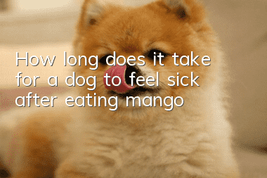 How long does it take for a dog to feel sick after eating mango?