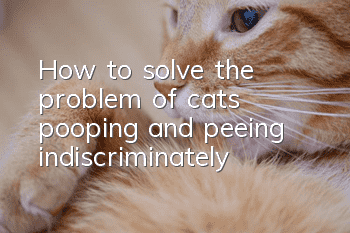 How to solve the problem of cats pooping and peeing indiscriminately