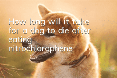 How long will it take for a dog to die after eating nitrochlorophene?