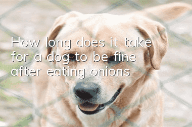 How long does it take for a dog to be fine after eating onions?