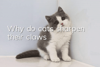 Why do cats sharpen their claws?