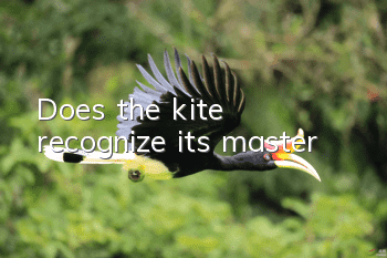 Does the kite recognize its master?