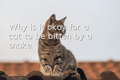 Why is it okay for a cat to be bitten by a snake?