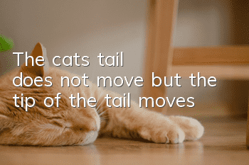 The cat's tail does not move, but the tip of the tail moves
