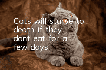 Cats will starve to death if they don't eat for a few days