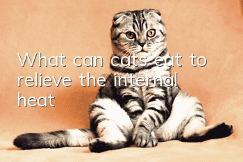 What can cats eat to relieve the internal heat?