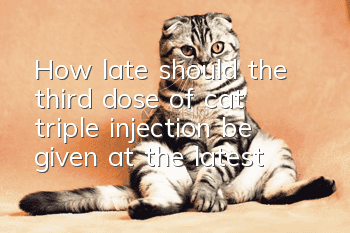 How late should the third dose of cat triple injection be given at the latest?