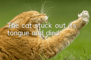 The cat stuck out its tongue and died