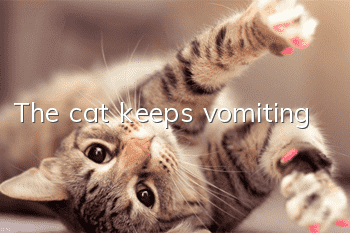 The cat keeps vomiting