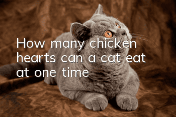 How many chicken hearts can a cat eat at one time?