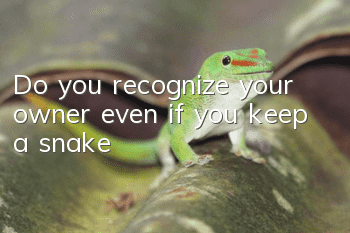 Do you recognize your owner even if you keep a snake?
