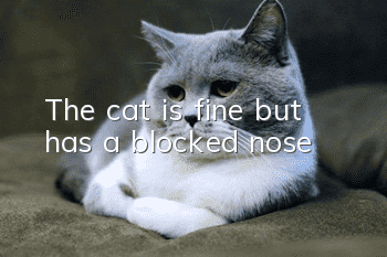 The cat is fine but has a blocked nose