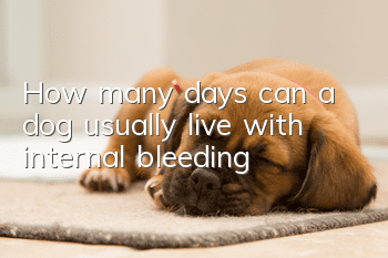 How many days can a dog usually live with internal bleeding?