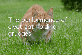 The performance of civet cat holding grudges