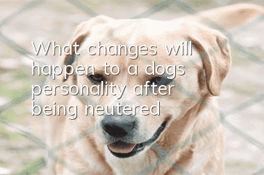 What changes will happen to a dog’s personality after being neutered?