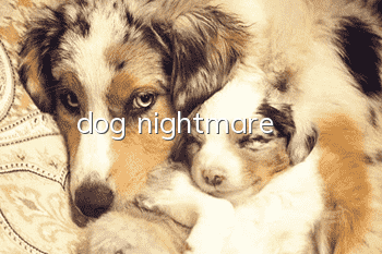 dog nightmare