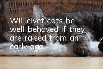 Will civet cats be well-behaved if they are raised from an early age?