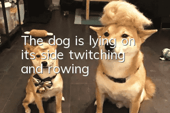 The dog is lying on its side, twitching and rowing