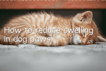 How to reduce swelling in dog paws