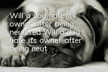 Will a dog hate its owner after being neutered? Will a dog hate its owner after being neutered?