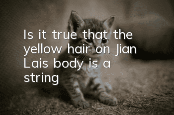 Is it true that the yellow hair on Jian Lai’s body is a string?