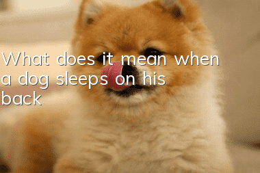 What does it mean when a dog sleeps on his back?