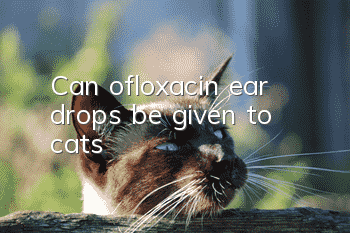 Can ofloxacin ear drops be given to cats?